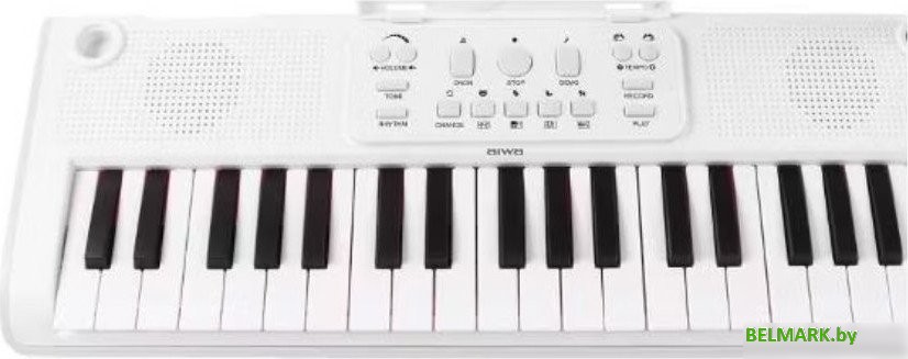 Синтезатор Aiwa ASZ-370W - фото2