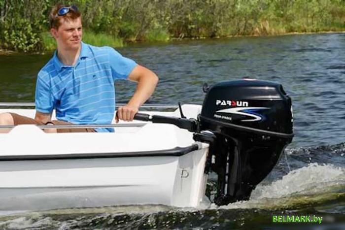 Лодочный мотор Parsun F9.8 BMS - фото2
