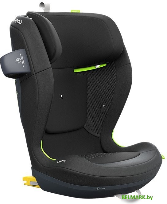 Детское автокресло Swandoo Charlie i-size (chia black) - фото