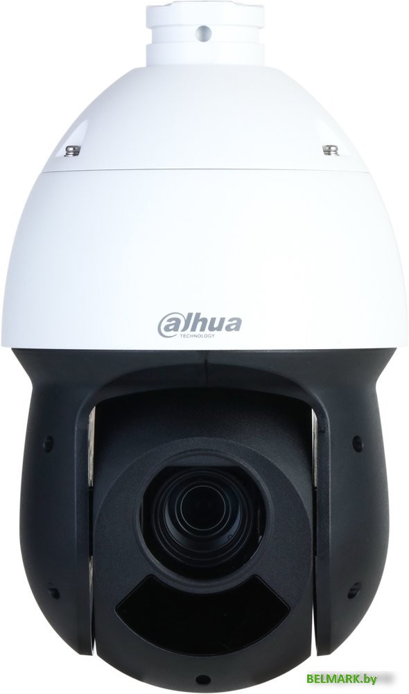 IP-камера Dahua DH-SD49216DB-HNY - фото
