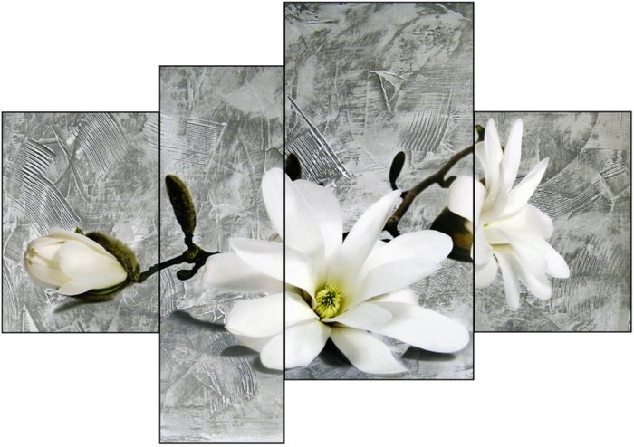 Модульная картина Декарт 8Л0688 - фото