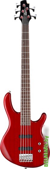 Бас-гитара Cort Action Bass V Plus TR - фото