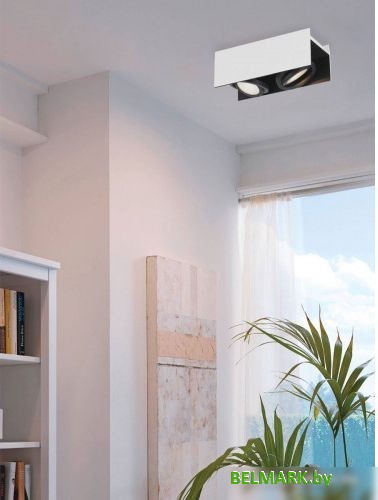 Припотолочная люстра Eglo Vidago 39316 - фото2