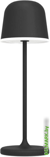 Садовый светильник Eglo Mannera 900457 - фото