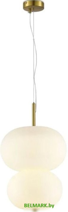 Подвесная люстра Aployt Adeli APL.646.06.20 - фото