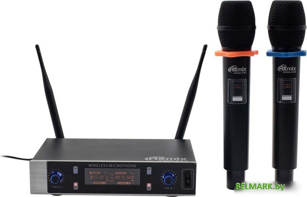 Радиосистема Ritmix RWM-230 - фото