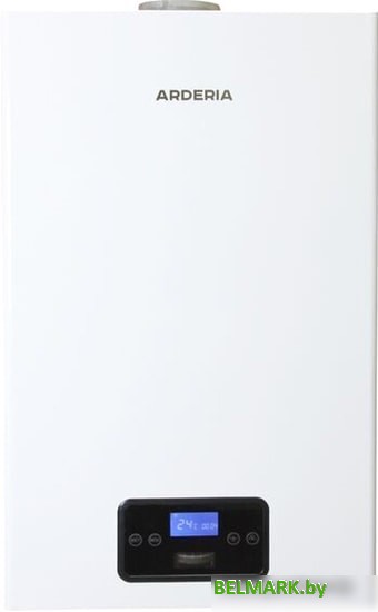Отопительный котел Arderia D24 - фото