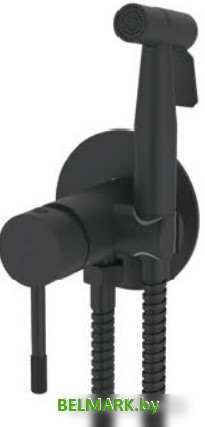 Гигиенический душ Vieir V403553-C - фото