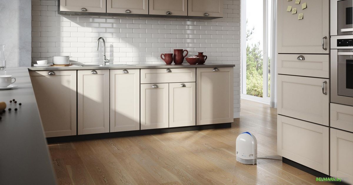 Очиститель воздуха Airfree Duo - фото2