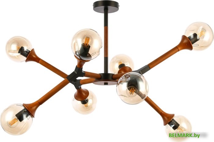 Люстра средней высоты Evoluce Raquel SLE109402-08 - фото