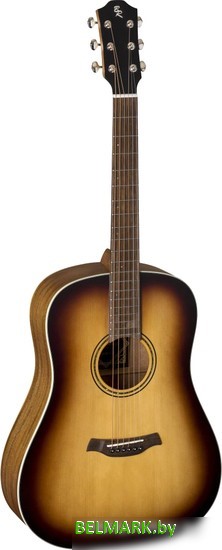 Акустическая гитара Baton Rouge X11S/SD-COB - фото