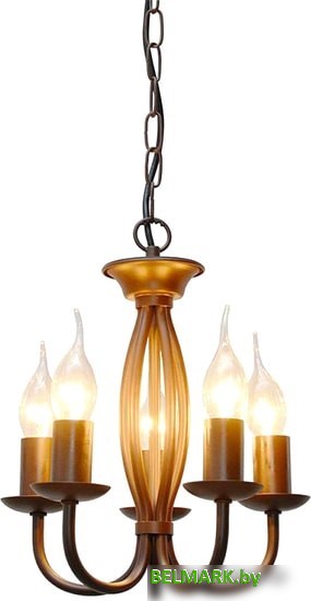 Люстра Lussole LGO LSP-9913 - фото