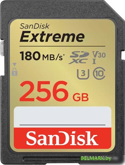 Карта памяти SanDisk Extreme SDXC SDSDXVV-256G-GNCIN 256GB - фото