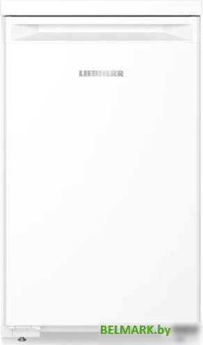 Однокамерный холодильник Liebherr Re 1200 Pure - фото