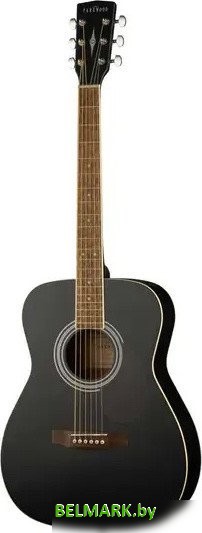 Электроакустическая гитара Parkwood PF51E-WBAG-BKS - фото