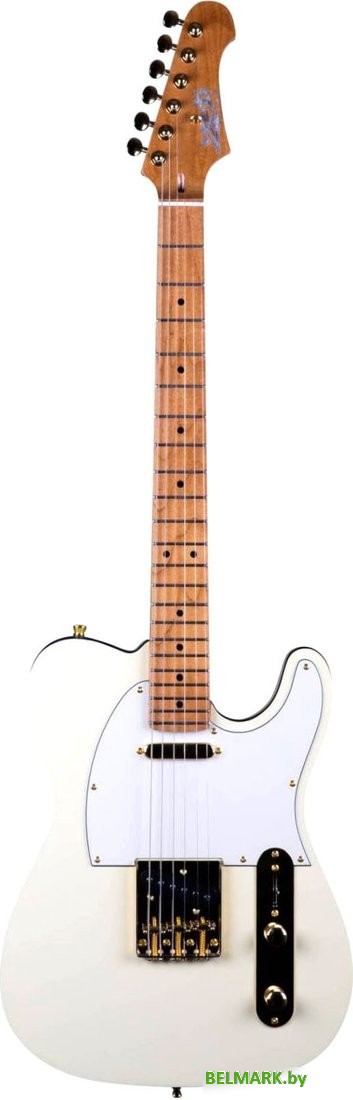 Электрогитара JET JT-300 AWG - фото