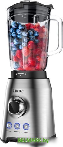 Стационарный блендер CENTEK CT-1329 - фото