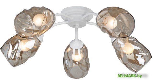 Люстра средней высоты Vitaluce V4929-0/5PL - фото