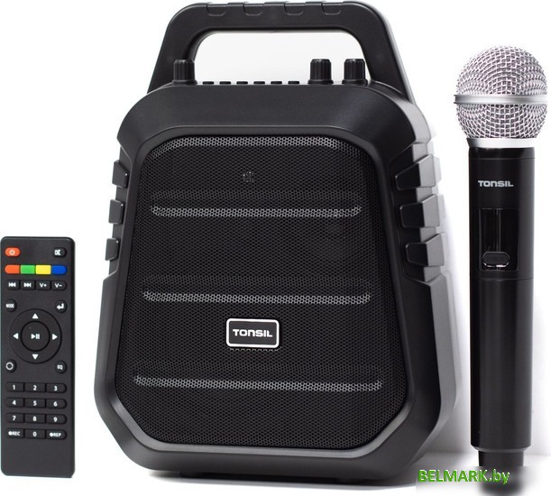 Беспроводная колонка Tonsil ZP 8 (с микрофоном) - фото