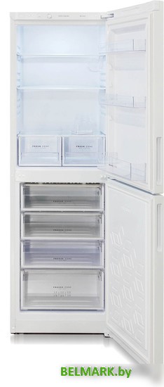 Холодильник Бирюса 6031 - фото2