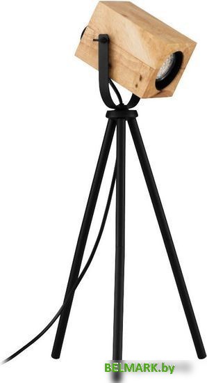 Настольная лампа Eglo Ayles 43749 - фото