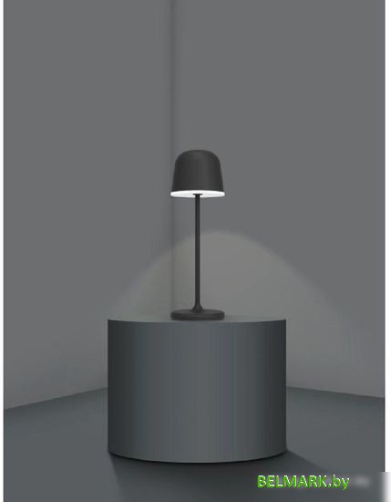 Садовый светильник Eglo Mannera 900457 - фото2