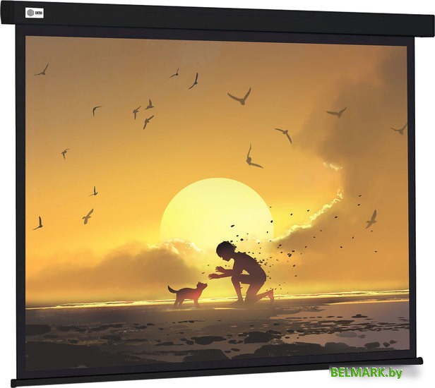 Проекционный экран CACTUS Wallscreen 150x150 CS-PSW-150X150-BK - фото