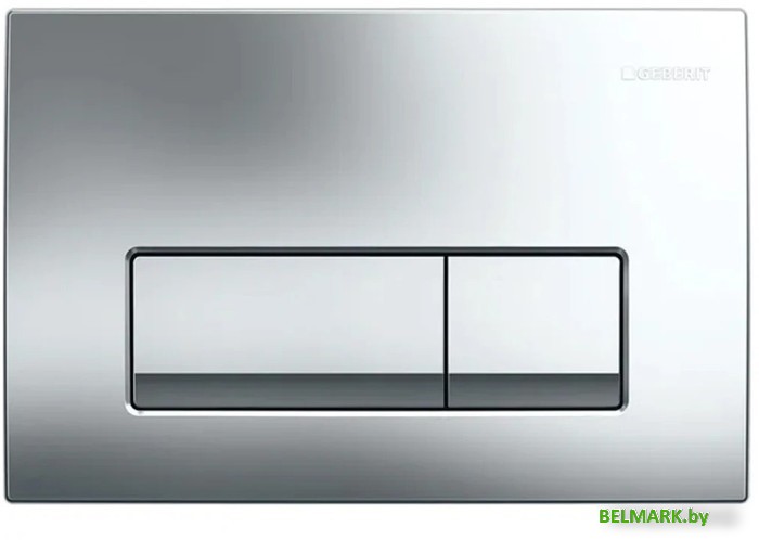 Панель смыва Geberit Delta 50 115.119.21.1 (хром глянцевый) - фото