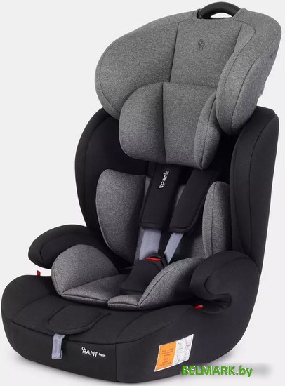 Детское автокресло Rant Basic Spark ZY10 (серый) - фото