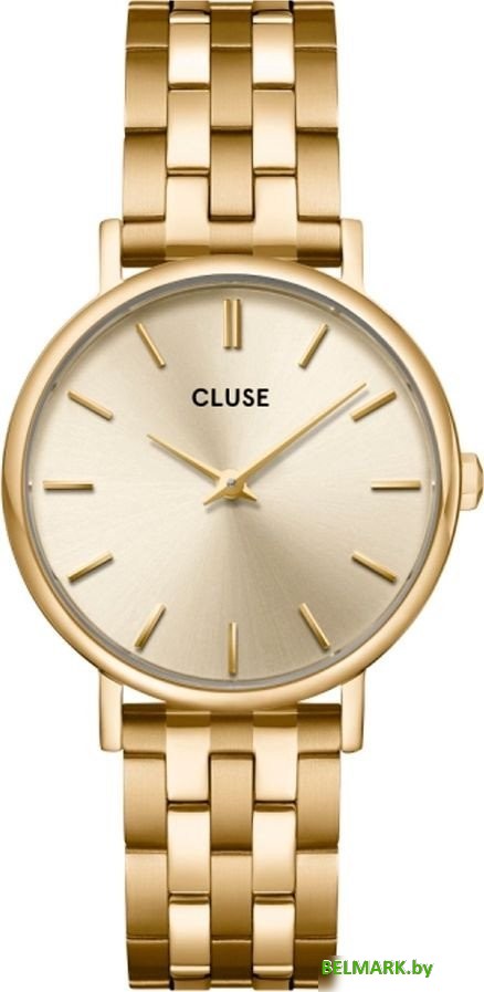 Наручные часы Cluse CW14801 - фото