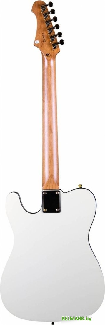 Электрогитара JET JT-300 AWG - фото2