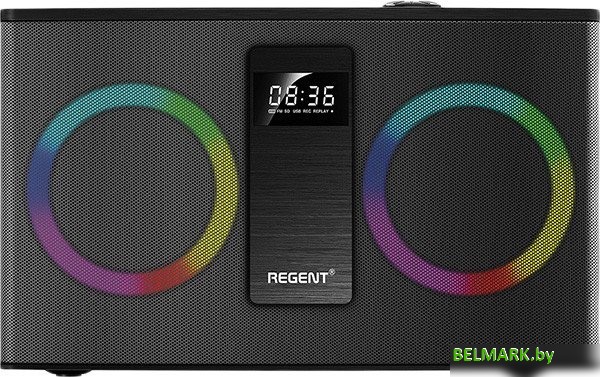 Беспроводная колонка Ferguson Regent 300BT - фото