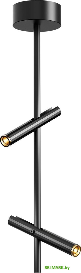 Припотолочная люстра ST Luce SL6210.403.02 - фото