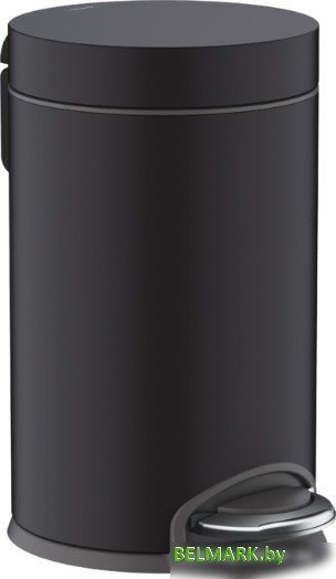 Мусорное ведро Hansgrohe AddStoris 41775670 - фото