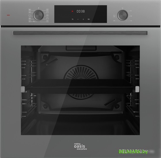 Электрический духовой шкаф Oasis (Making Oasis Everywhere D-SWG - фото