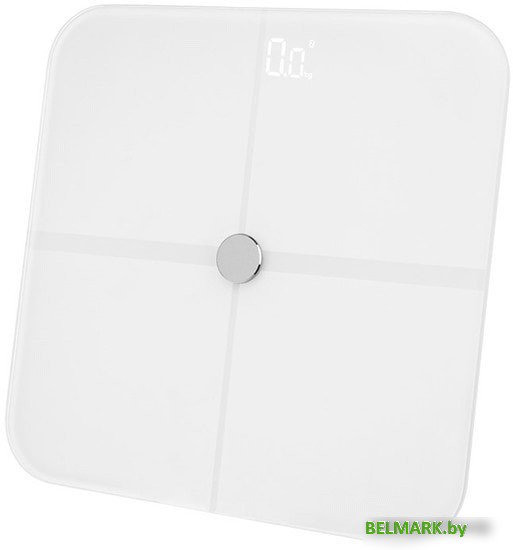 Напольные весы Halsa HSL-H-221W - фото