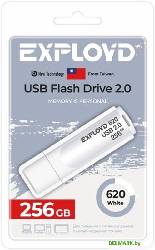 USB Flash Exployd 620 256GB (белый) - фото