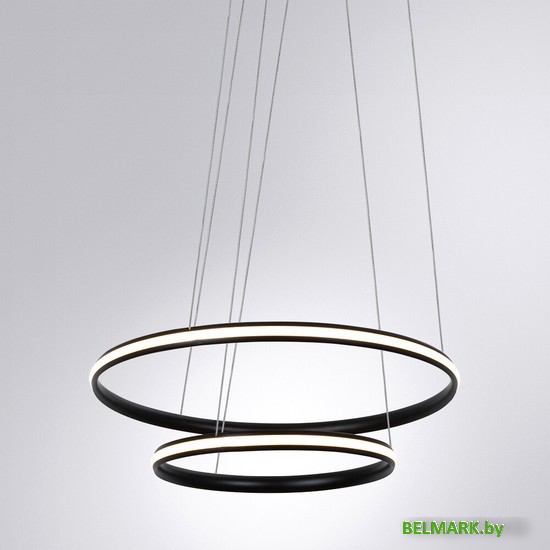 Подвесная люстра Arte Lamp Meridiana A2198SP-2BK - фото2