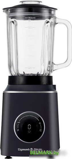 Стационарный блендер Zigmund & Shtain BS-446 D - фото2