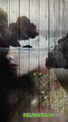 Картина White Wood B112-V-036-055-6.44 55x36 см - фото2