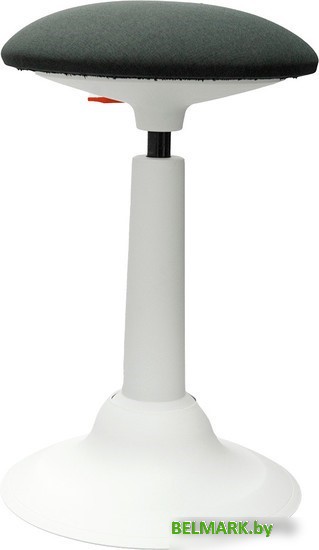 Офисный стул Chair Meister Cloud (белый пластик, серый) - фото2