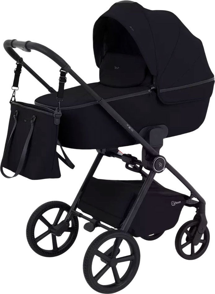 Универсальная коляска Rant Teo 2в1 RA120 (черный) - фото