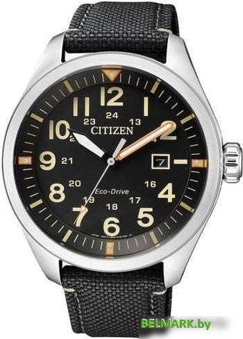 Наручные часы Citizen AW5000-24E - фото