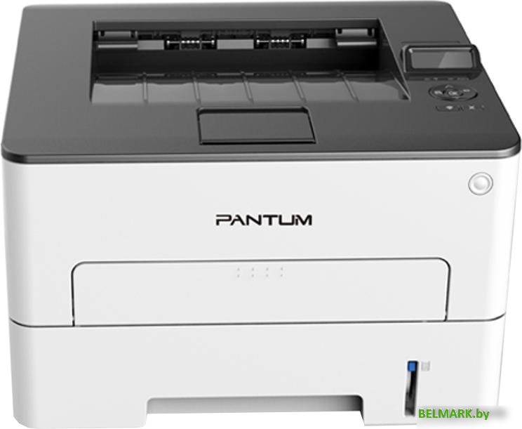 Принтер Pantum P3010DW - фото