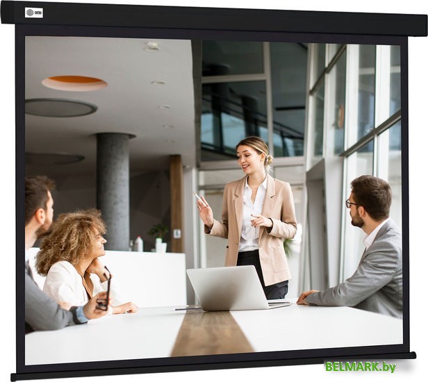 Проекционный экран CACTUS Wallscreen 168x299 CS-PSW-168X299-BK - фото