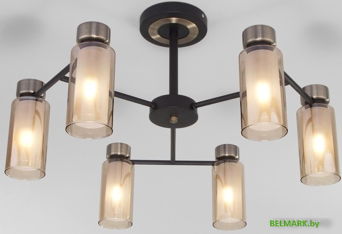 Припотолочная люстра Евросвет 70115/6 (черный) - фото