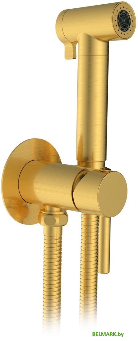 Гигиенический душ Altrobagno Modern 060117 OrSp - фото