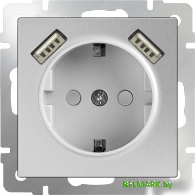 Розетка Werkel WL06-SKGS-USBx2-IP20 (серебряный) - фото