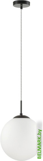 Подвесная люстра Lumion Summer 6510/1 - фото