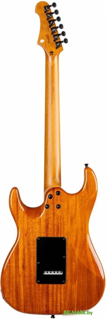 Электрогитара JET JS-600 TPP - фото2